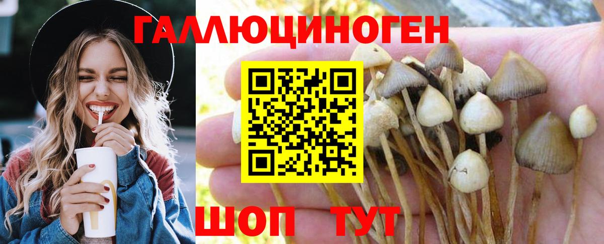 Галлюциногенные грибы Cubensis  магазин    Галлюциногенные грибы Psilocybine cubensis  Железноводск  Вход с VPN 